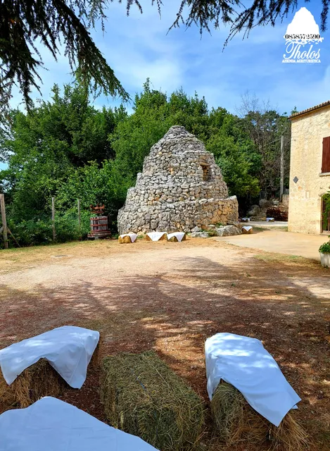 Agriturismo Tholos