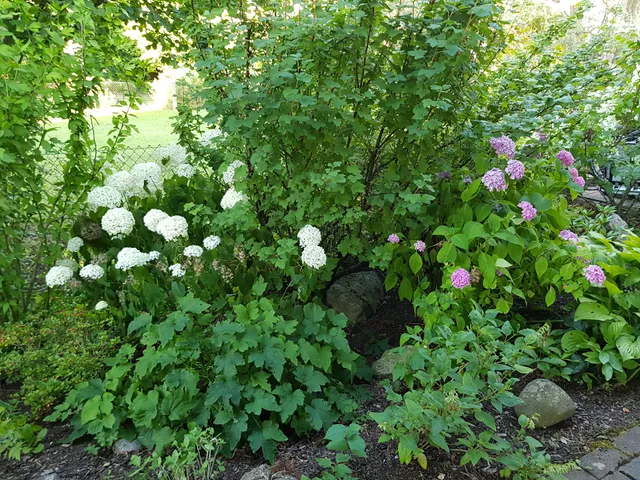Ferienwohnung Susi-Allgäu