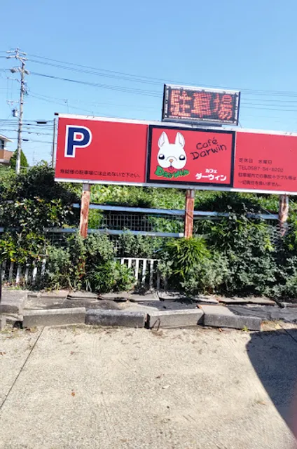 カフェ・ダーウィン