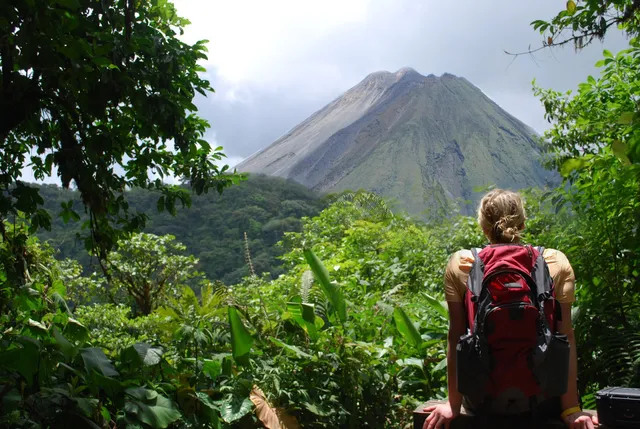 Jacamar Naturalist Tours