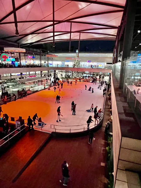 Pista de Hielo Parque Vía Vallejo