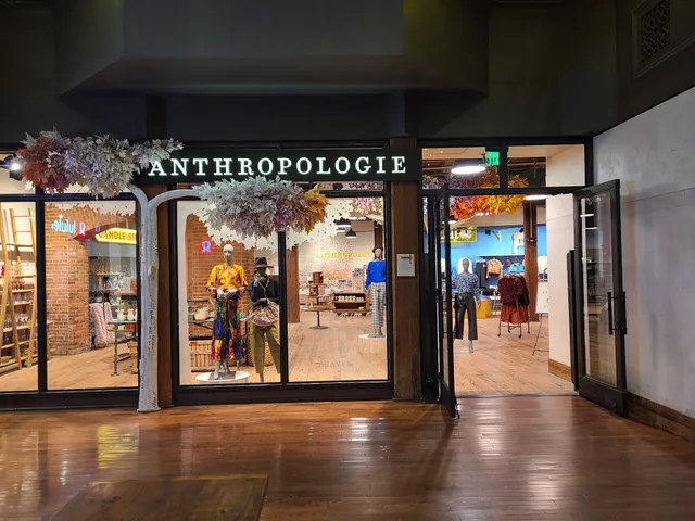 Anthropologie