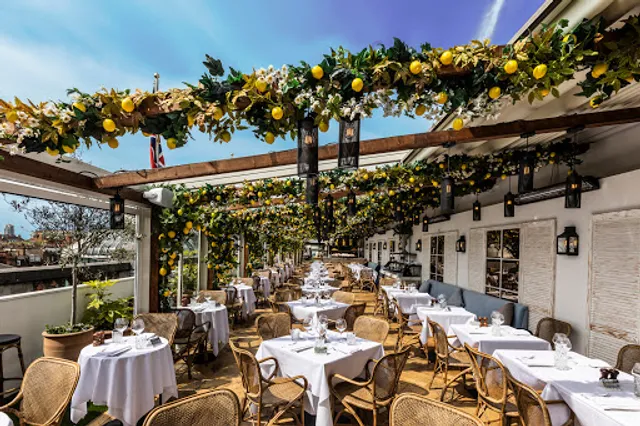 Alto by San Carlo | London