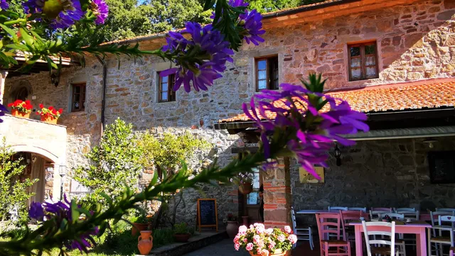 Fattoria Bonaria Savigni