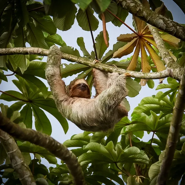 La fortuna Hikes and Trails
