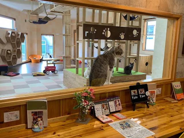 カフェニャンコプラス