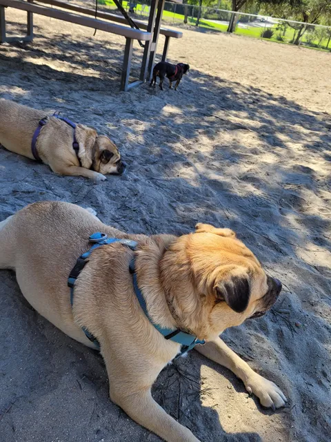 Canine Corners Dog Park