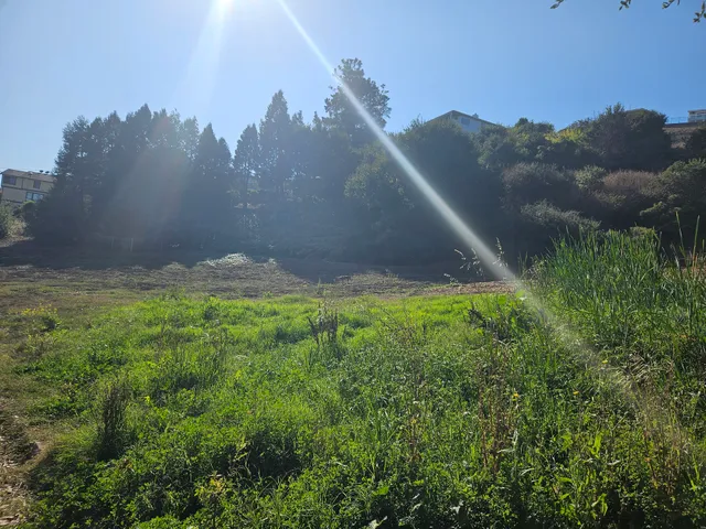 Millbrae Spur Trail