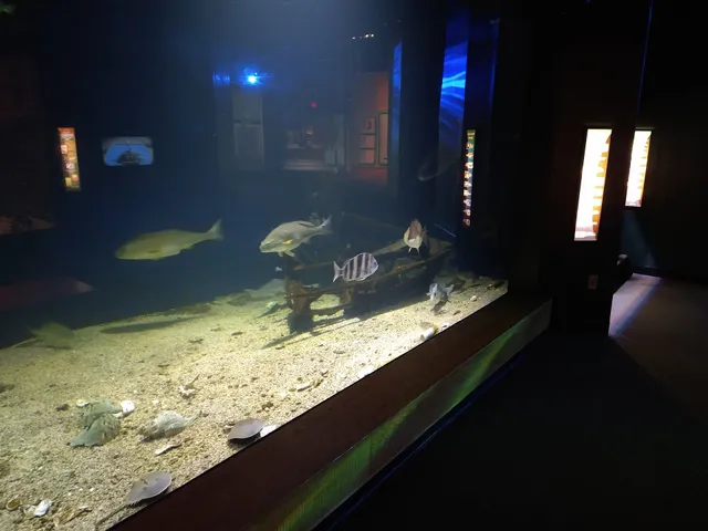 Mississippi Museum of Natural Science