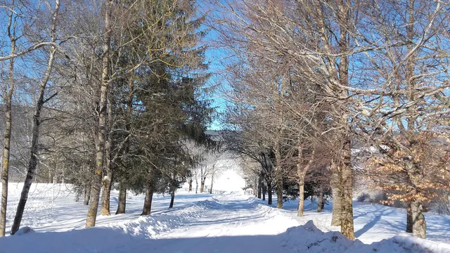 CLUB VERCORS SARL SCOP