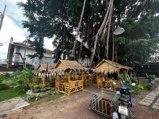 The Buddha Tree Restaurant & Bar | Steaks, Burgers, Chicken Parma, Pasta, all types of western food and Thai cuisine.