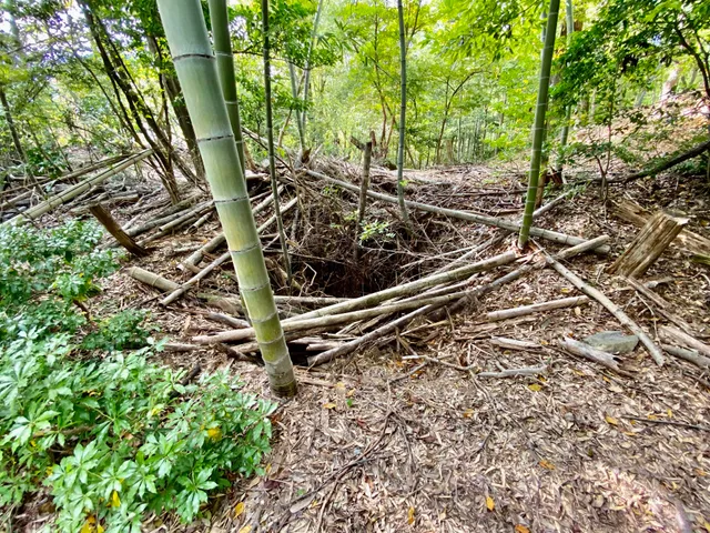 Minegado Castle Ruins