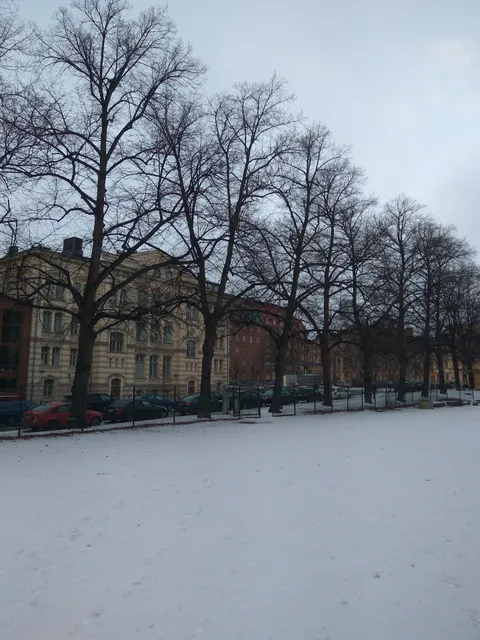 Norssin päädyn koirapuisto