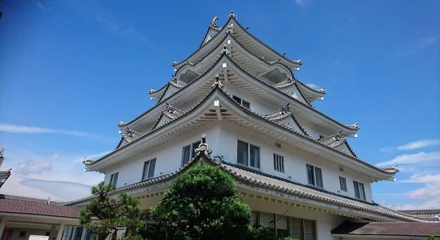 Yuasa Castle Onsen Hotel