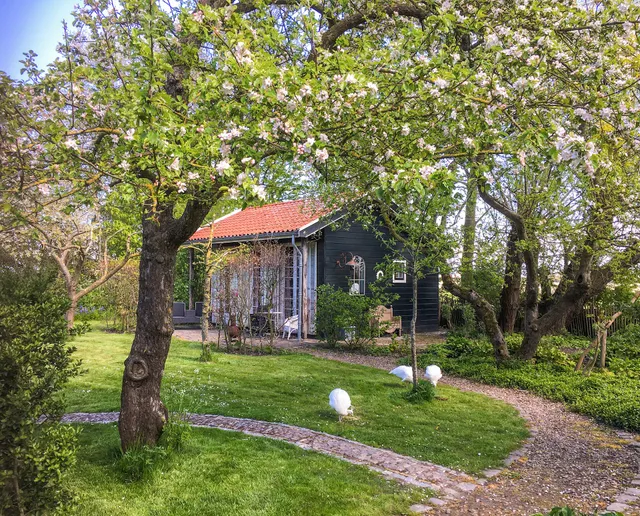 Vakantiehuizen De Zwaluwenhof, Kats