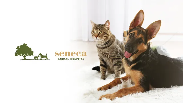 Seneca Animal Hospital
