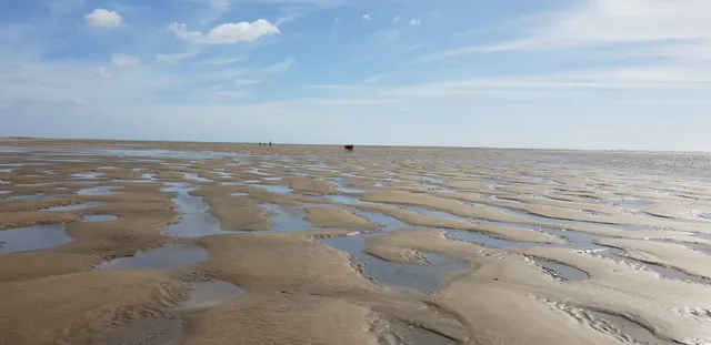 Paseo de Los Gavilanes, s/n.