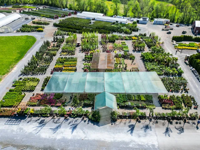 Countryview Farm Nursery