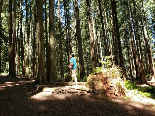 Lake Stevens Disc Golf Course