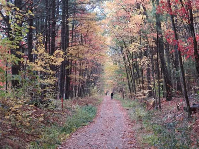 Rockingham Recreational Trail, Depot Road, Auburn, Nh