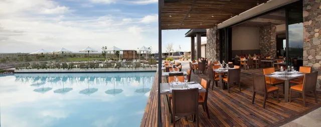 The Vines Resort & Spa