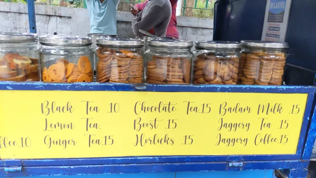 Mini Forest Coffee House