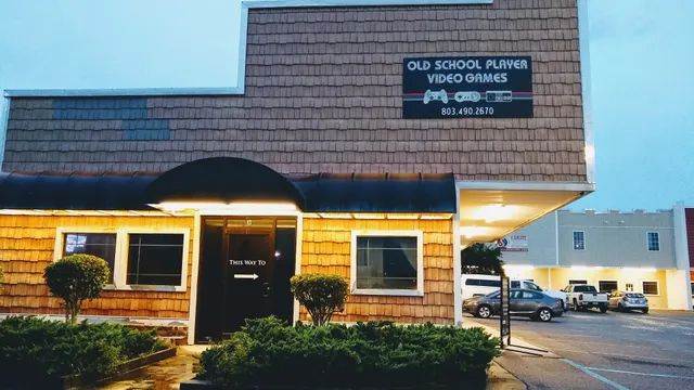 Old School Player Video Games