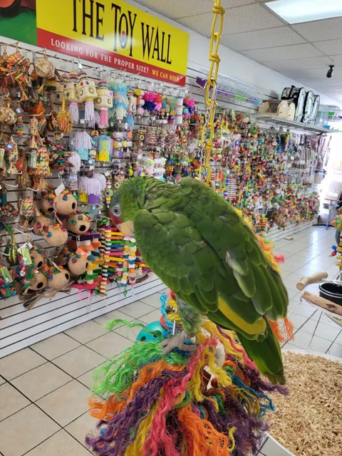 Omar's Exotic Birds
