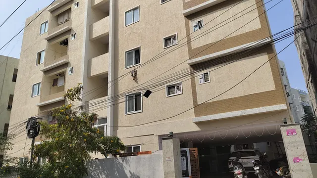 R3 CUSP PG for MEN & COLIVE