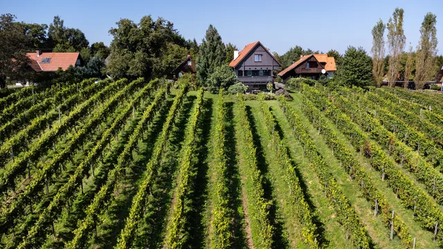 SCHILCHERLANDLEBEN - Weingartenhaus
