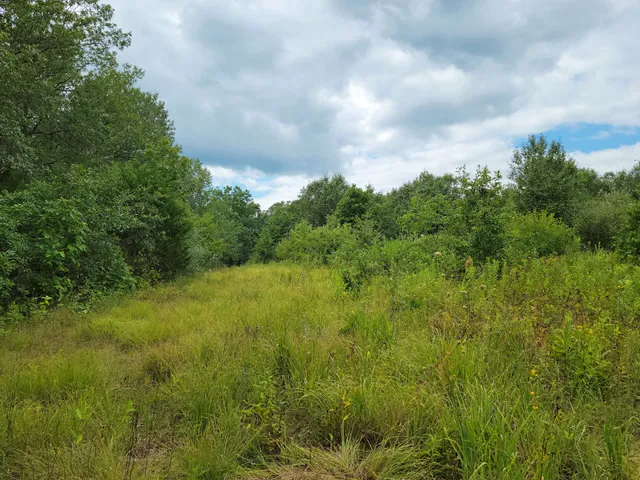 Kessler Memorial Wildlife Area