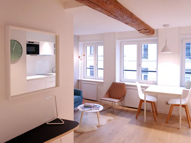 The Sleeping Cat I - Old Lille Apart-hotel