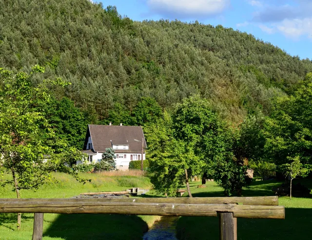 Le gîte de l'écureuil