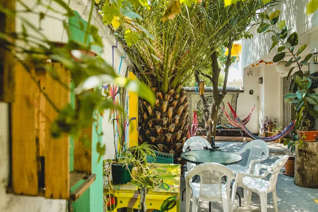 Knutsen Housing & Hostal