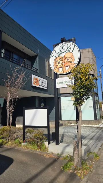 大型犬ふれあいカフェLOA