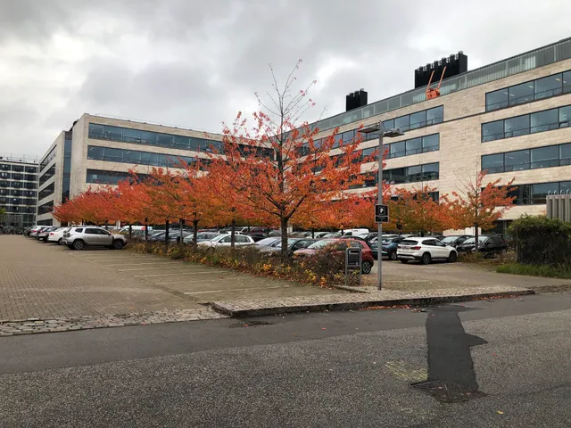 Copenhagen Biocenter, Department of Biology, University of Copenhagen