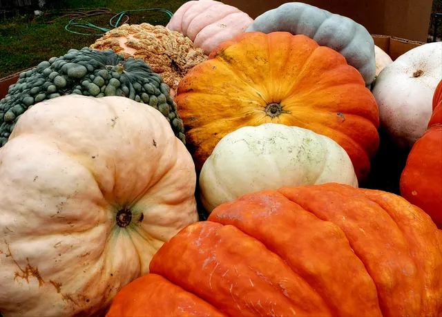 The Walden Woods Project Farm