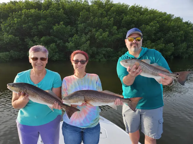 Bag'Em Tampa Bay Fishing Charters