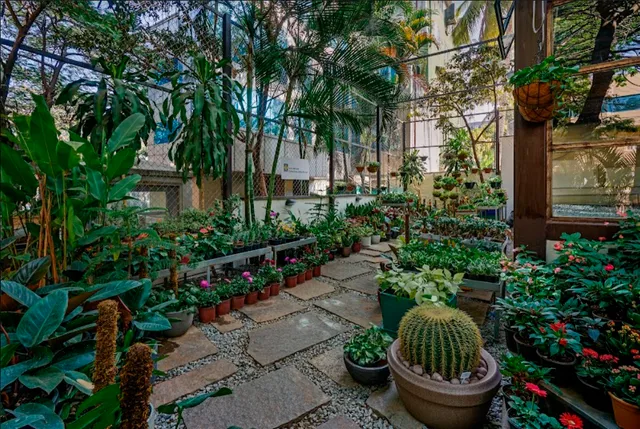 Beruru - Garden, Planter & Outdoor Furniture Store Bangalore