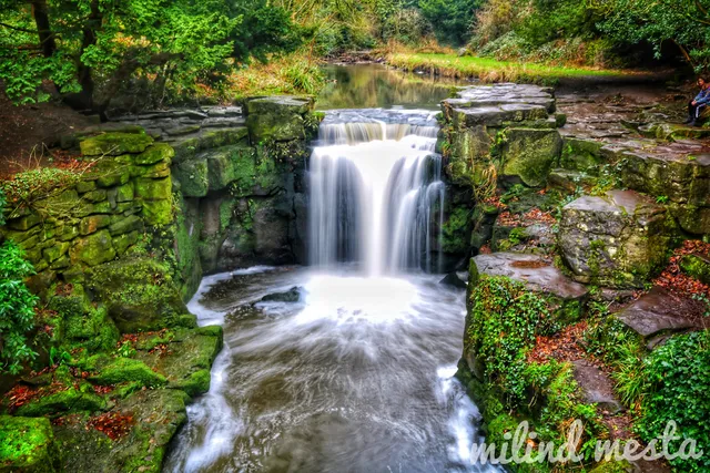Jesmond Dene