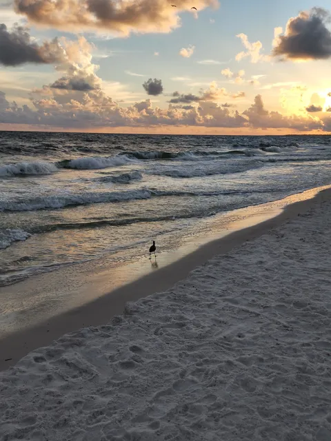 Vacation Mexico Beach