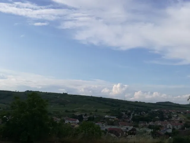 Weinstube Steinschaden