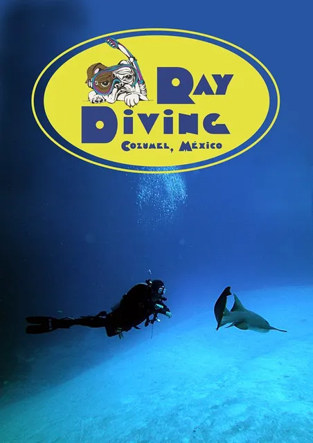 Ray Diving Cozumel