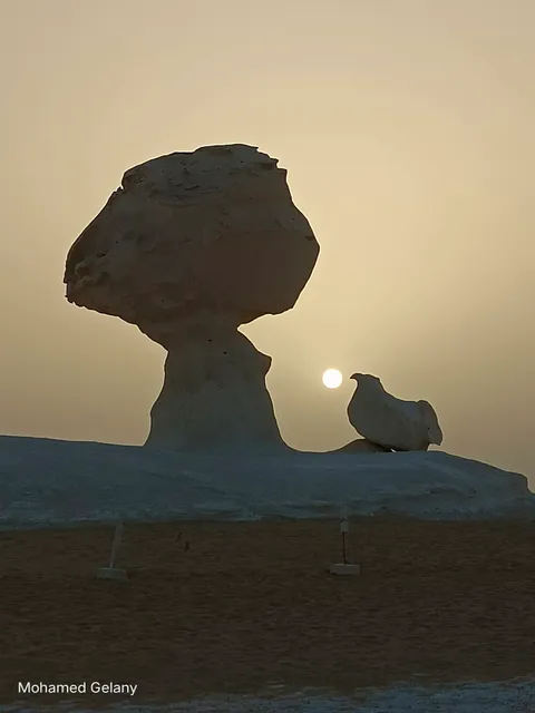 White Desert Egypt الصحراء البيضاء