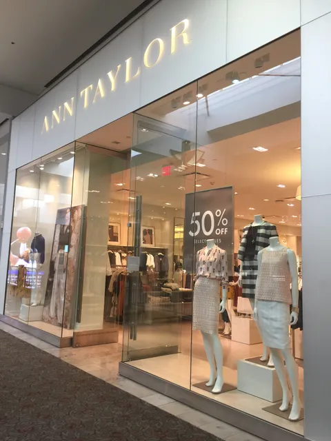Ann Taylor