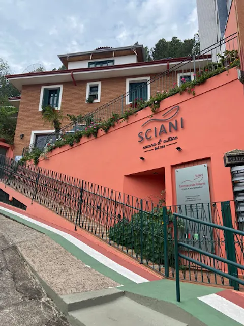 Sciani