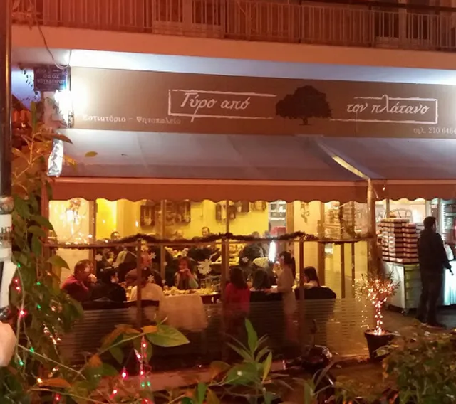 Around the plane tree