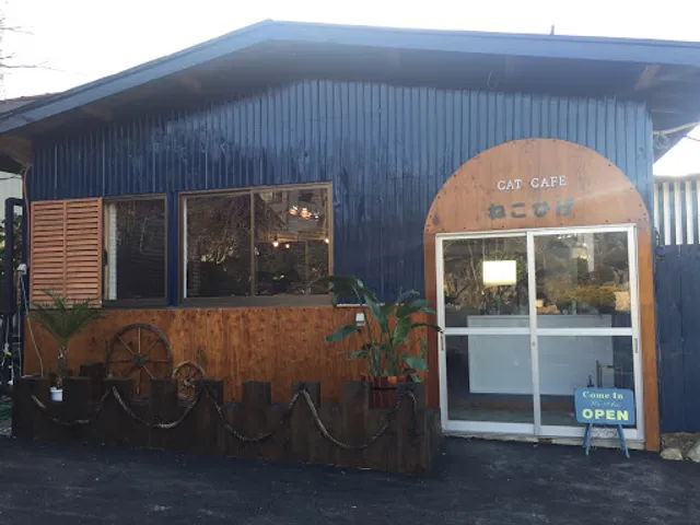 Cat Café Neko Hige