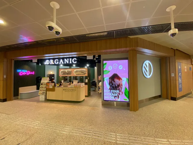 Organic Express Hair Color Lab