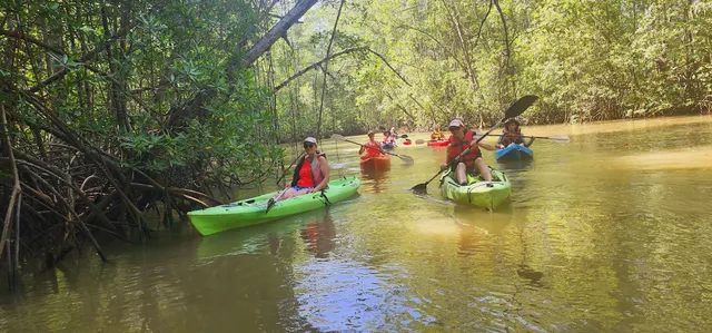 Manuel Antonio, Monkey mangrove Tour with Adventure Lalo Tour Damas Island Costa Rica Tours $40 per person